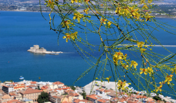 �������� ���� (283)