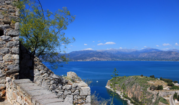 �������� ���� (254)