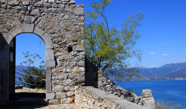 �������� ���� (252)