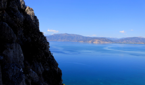 �������� ���� (246)