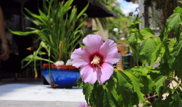 �������� ���� (19)