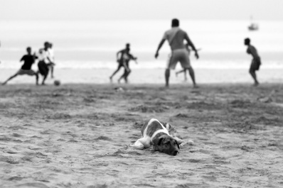 photo 233655
