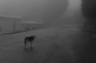 photo 234152