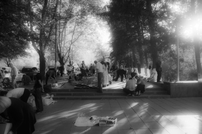 photo 235424