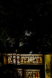 photo 235425