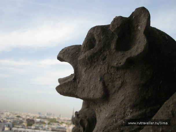 photo 20009