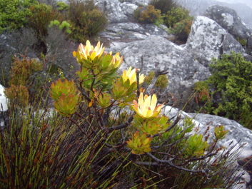 photo 90612