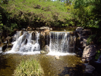 photo 90629