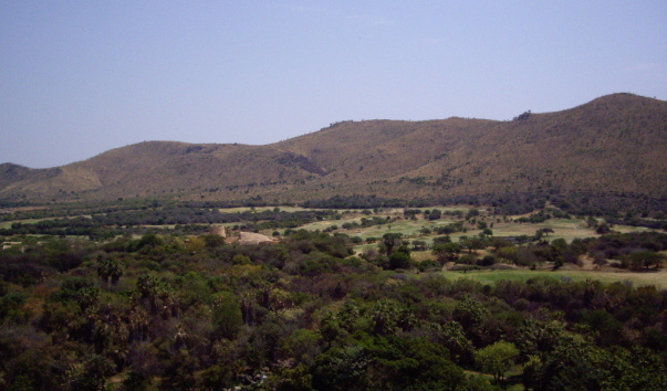 IMGP3157