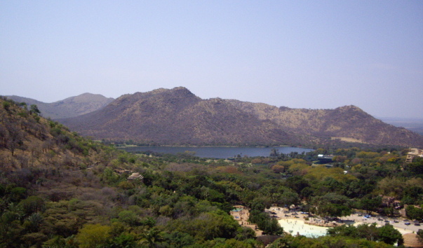 IMGP3152