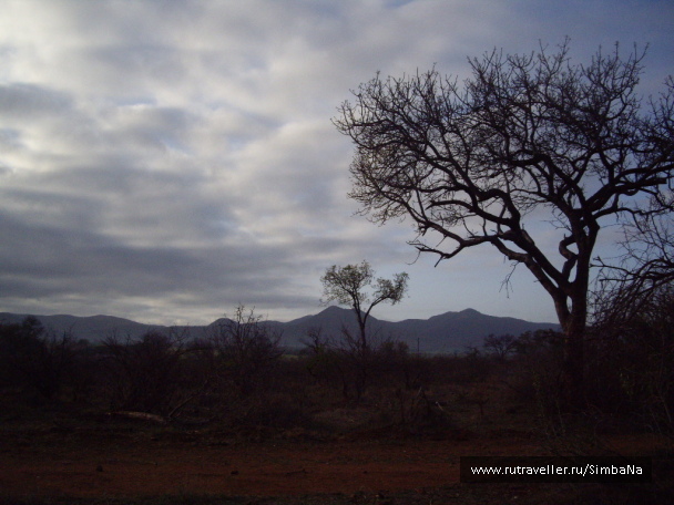photo 95815
