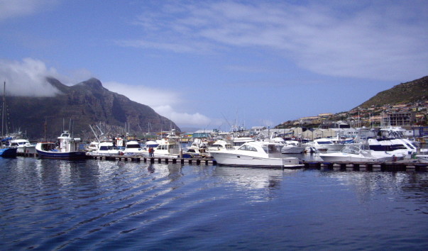 IMGP4439