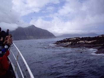 photo 100483