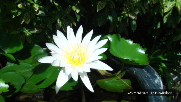 photo 84482