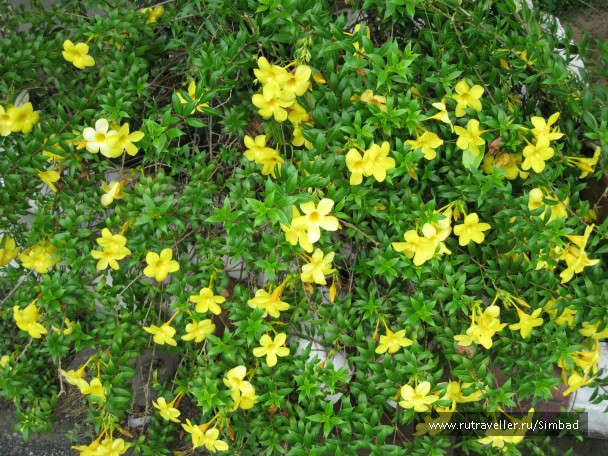 photo 84573