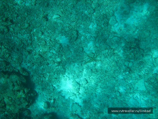 photo 690507