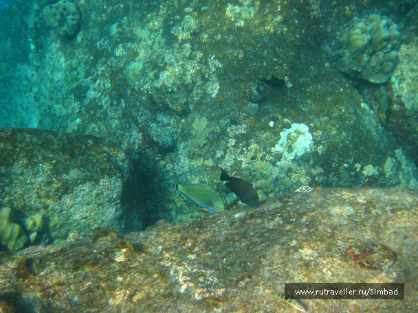 photo 690511