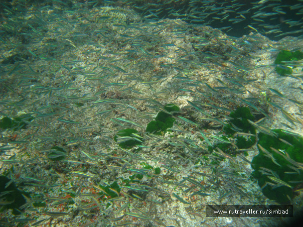 photo 690517