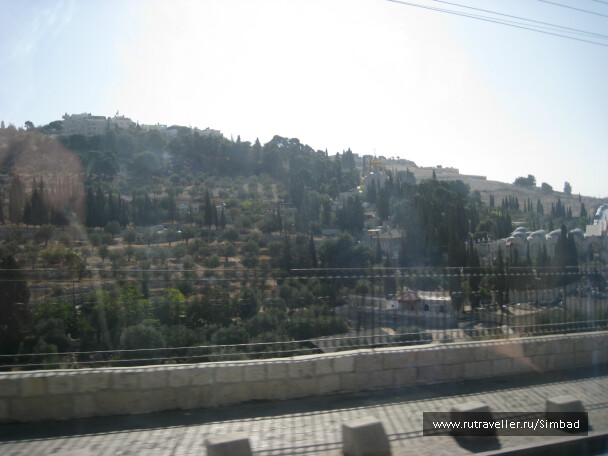 photo 36477