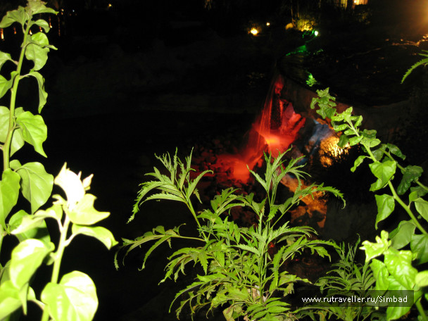 photo 39886