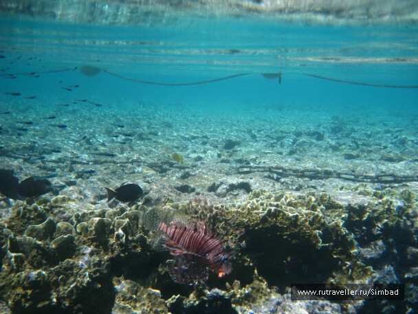 photo 40365
