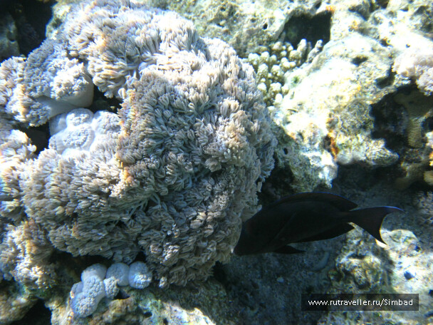 photo 40371