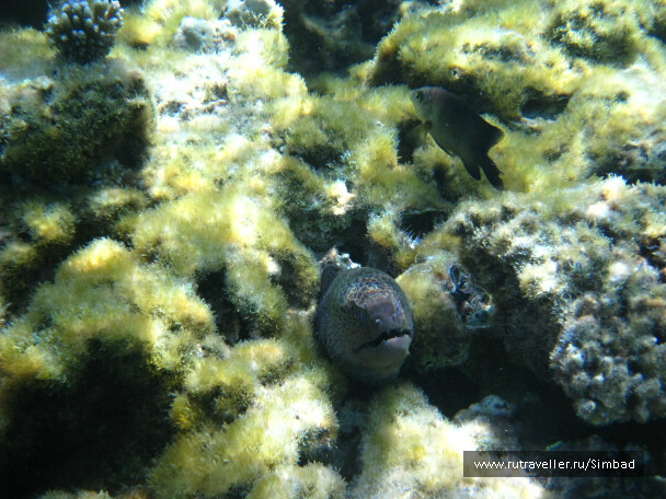 photo 40375
