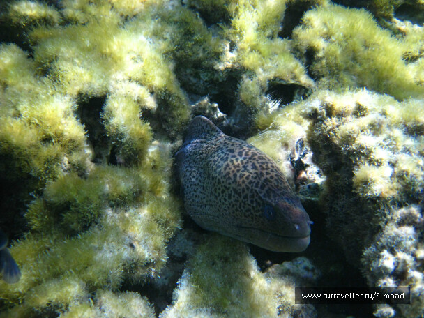 photo 40376