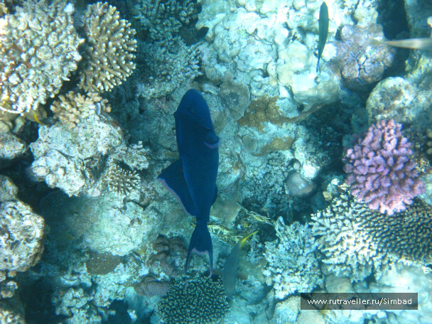 photo 40384