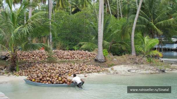 photo 462083