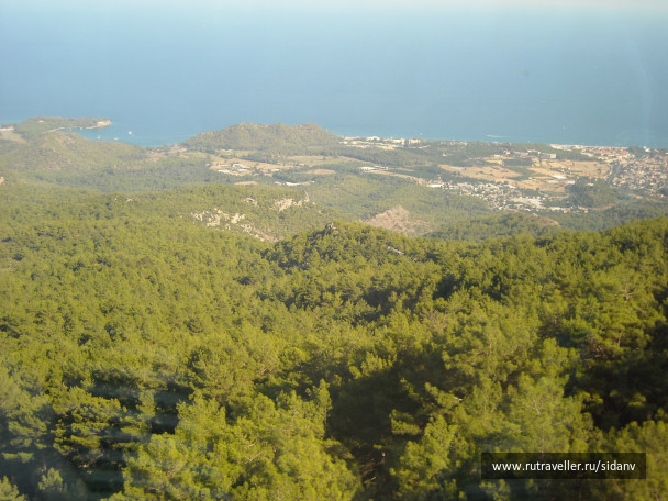 photo 154782