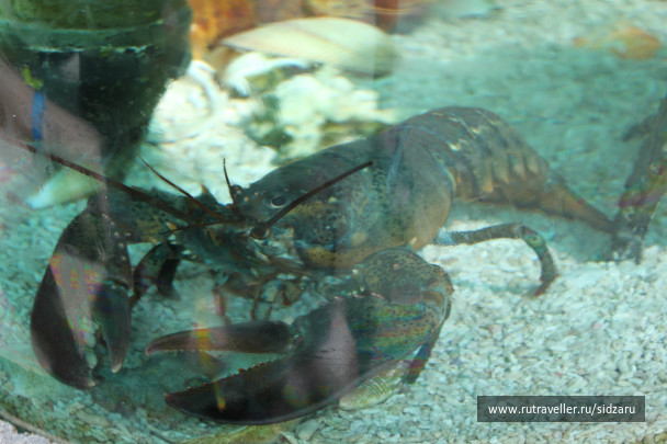 photo 114491