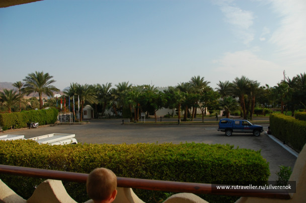 photo 298564