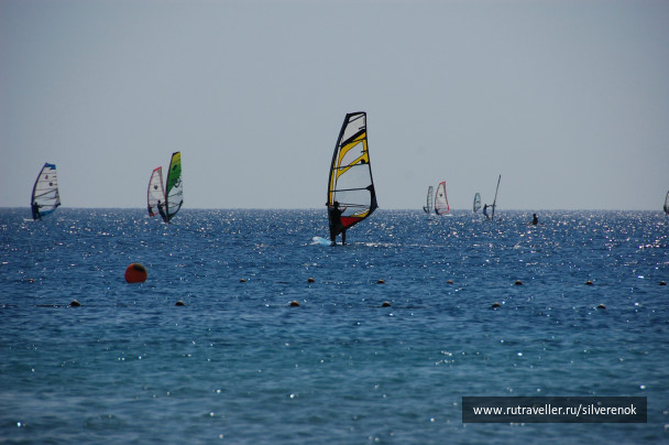 photo 299458
