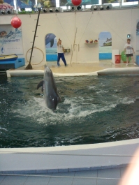 photo 885239