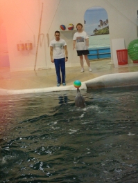 photo 885240