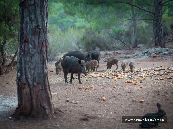 photo 114628