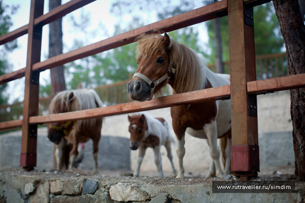 photo 114629