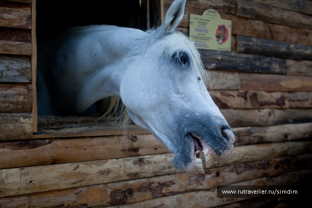 photo 114632