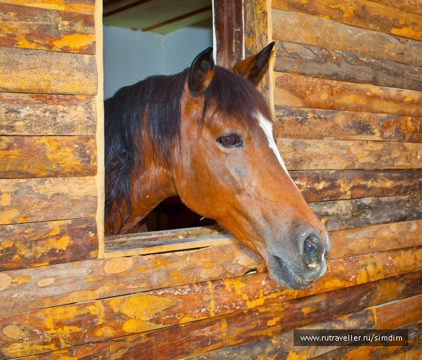 photo 114642