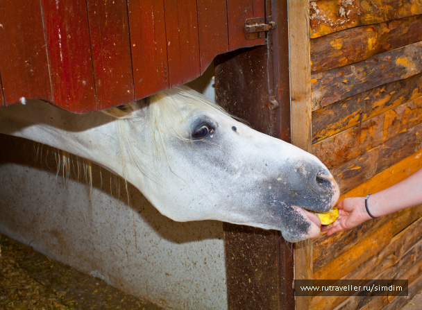 photo 114643
