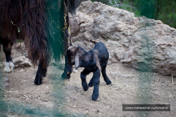 photo 114663