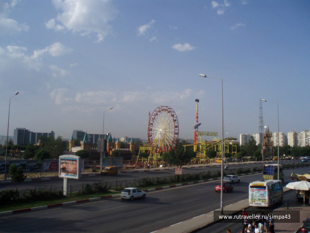 photo 1005794