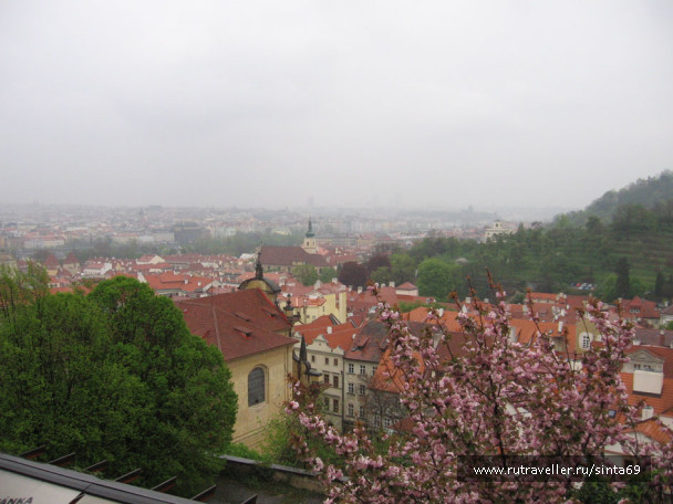 photo 1101234
