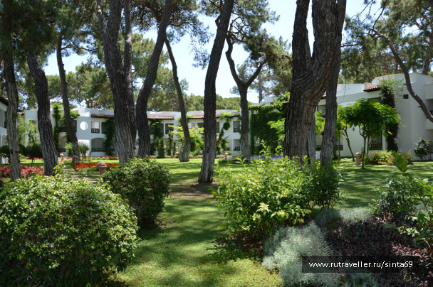 photo 441613