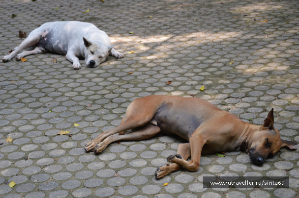 photo 1166059