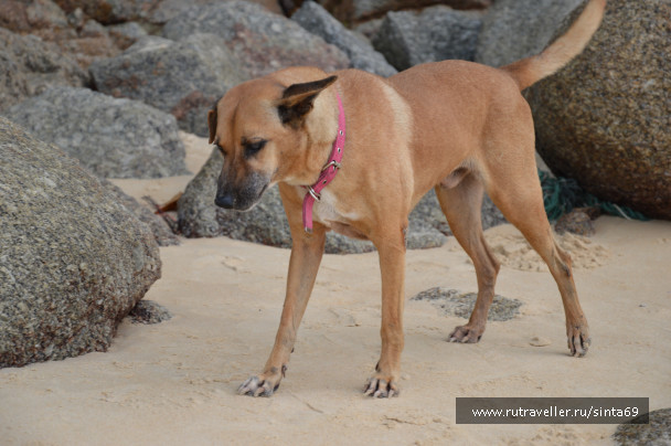 photo 1173412