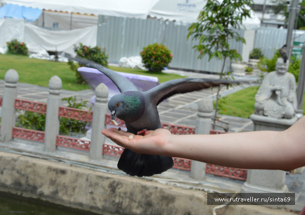 photo 1405179