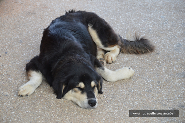 photo 1413481