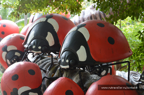photo 1405464